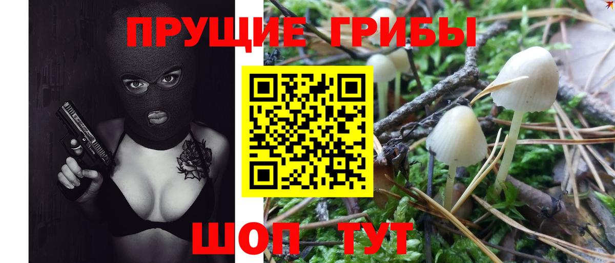 Псилоцибиновые грибы Psilocybe Самара